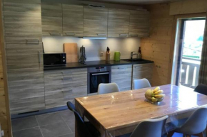 Modern Comfortable Chalet with large terrace Morzine